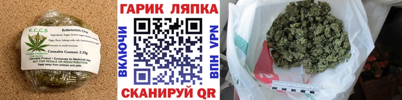 Купить закладки  Шахты  Печенье с ТГК конопля 