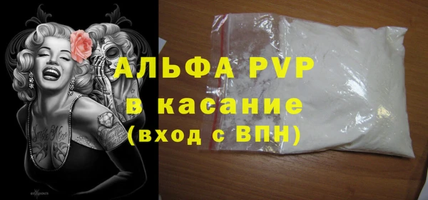 мдпв Инсар