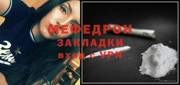 мдпв Инсар