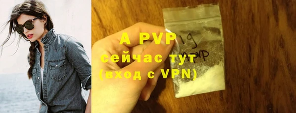 гидропоника Иннополис