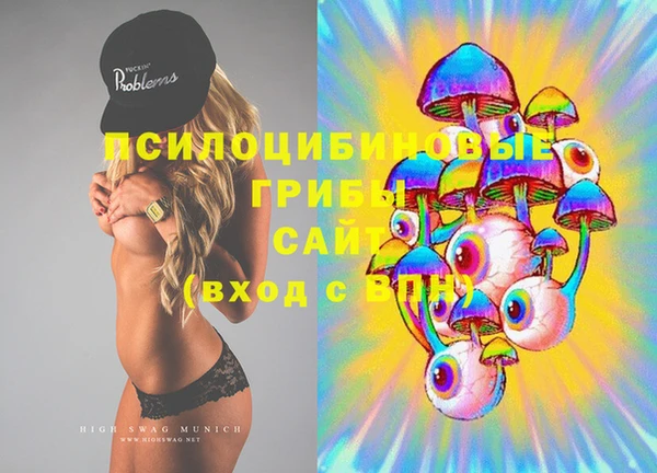 гидропоника Иннополис