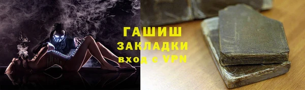 мдпв Инсар