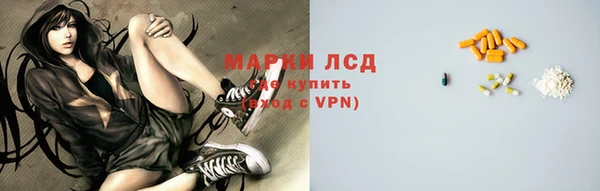 мдпв Инсар