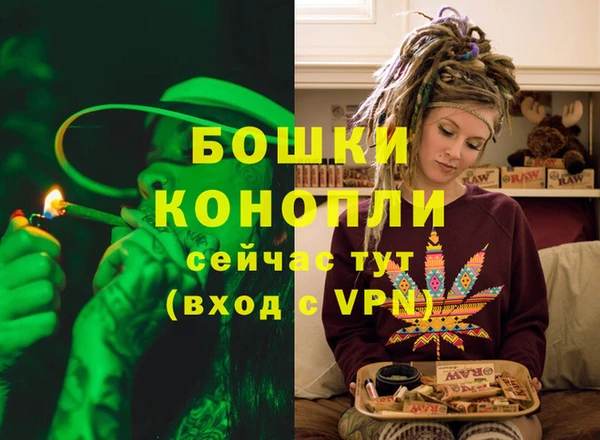 гидропоника Иннополис