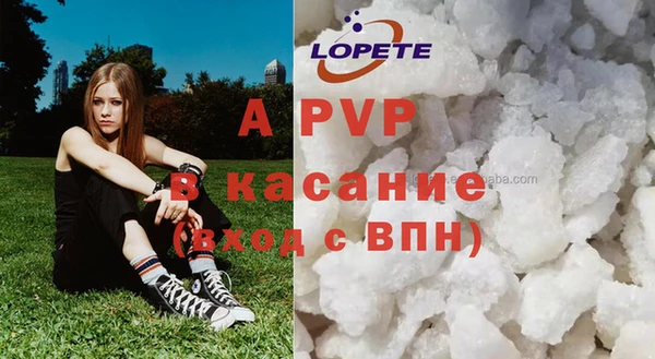 гидропоника Иннополис