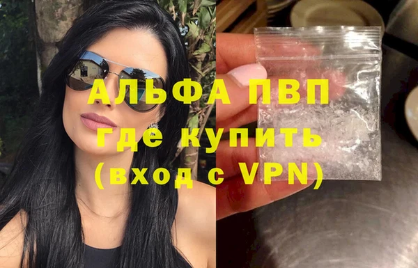 мдпв Инсар