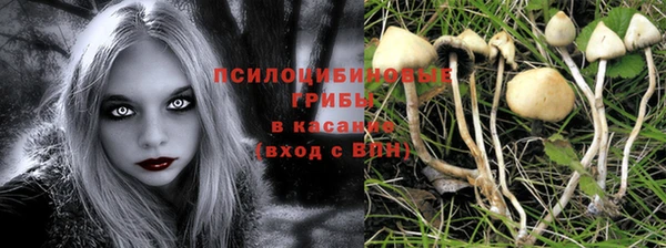 МДПВ Инта