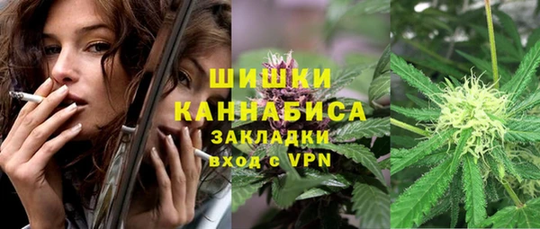 МДПВ Инта