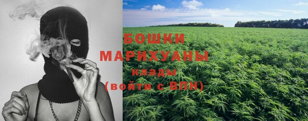 МДПВ Инта