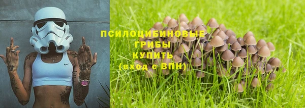 МДПВ Инта