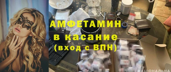 мдпв Инсар