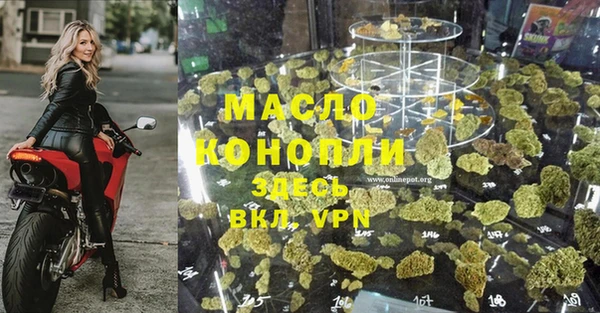 МДПВ Инта