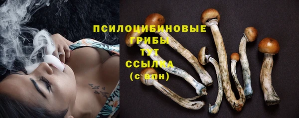 МДПВ Инта