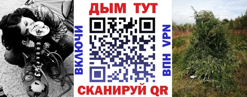 Купить закладки  Шахты  Бошки марихуана VHQ